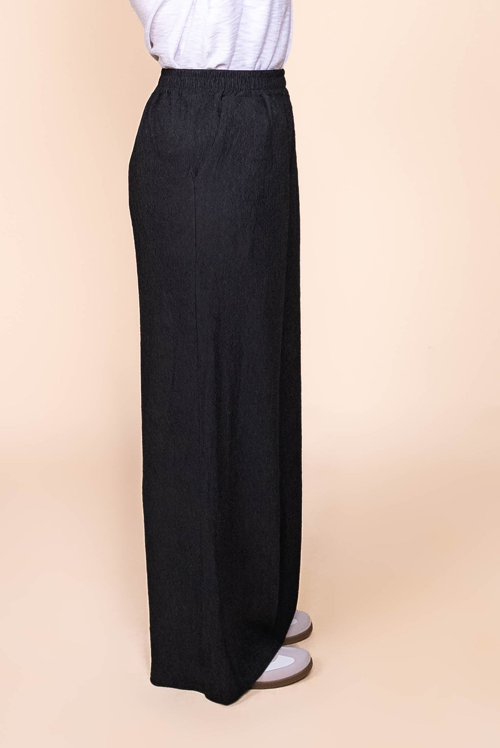 Penelope Crepe Wide Pants in Black