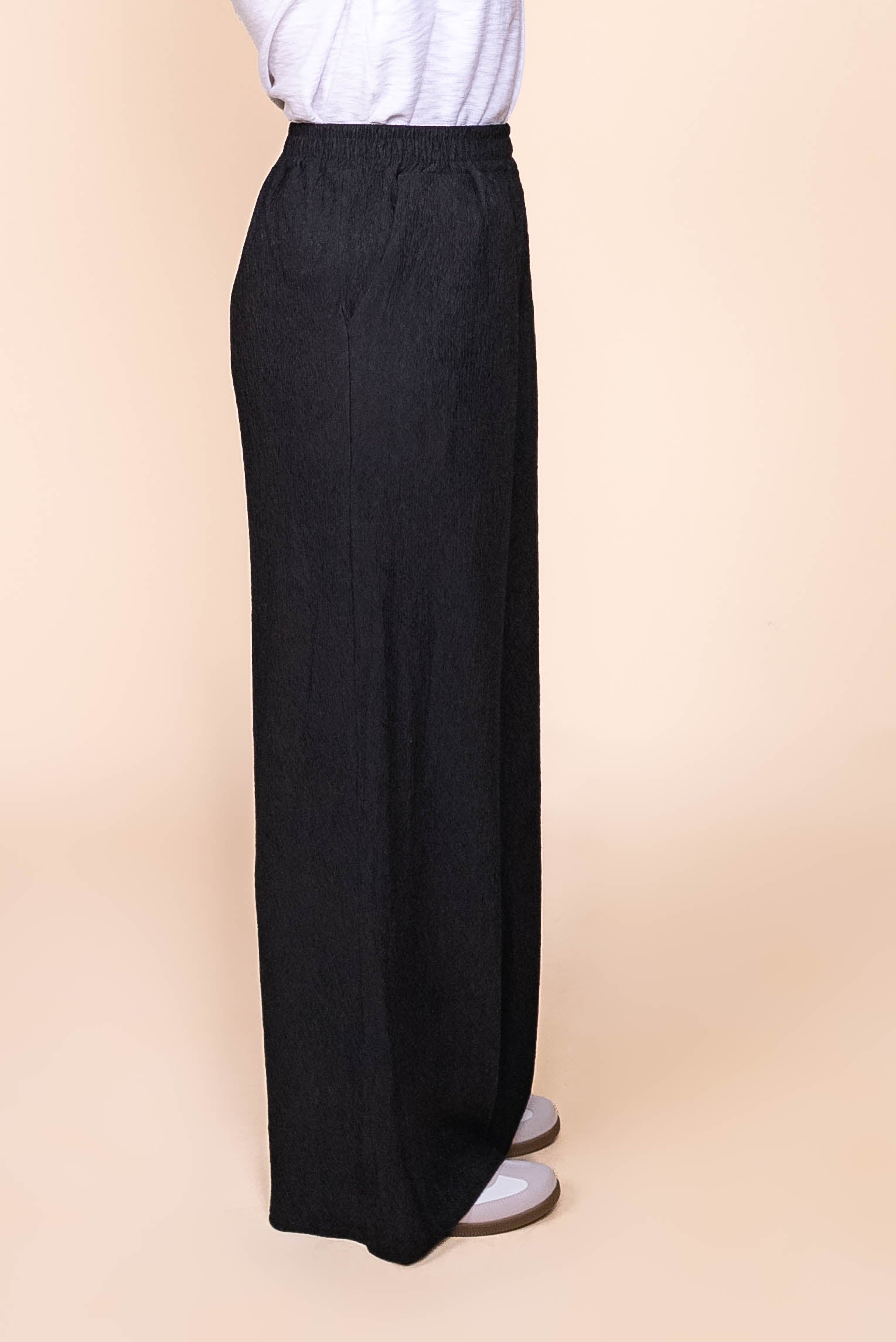 Penelope Crepe Wide Pants in Black
